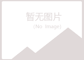 日照岚山青寒水泥有限公司